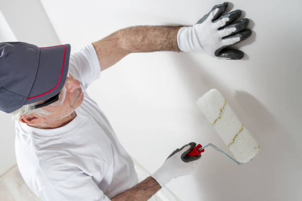 Best Attic Mold Removal  in Zanesville, OH