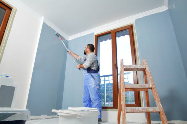 Best Post-Construction Mold Inspection  in Zanesville, OH