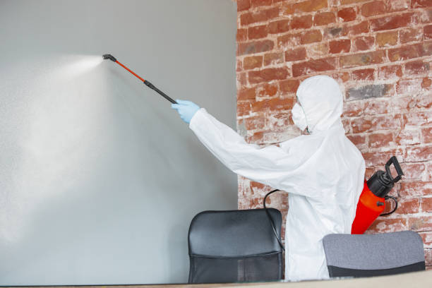 Best Mold Prevention Services  in Zanesville, OH