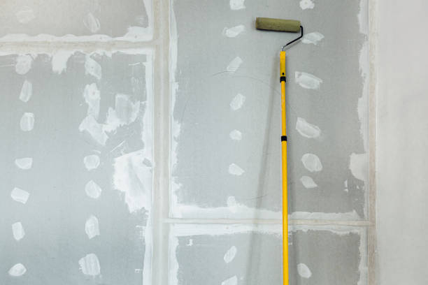 Best Commercial Mold Inspection  in Zanesville, OH
