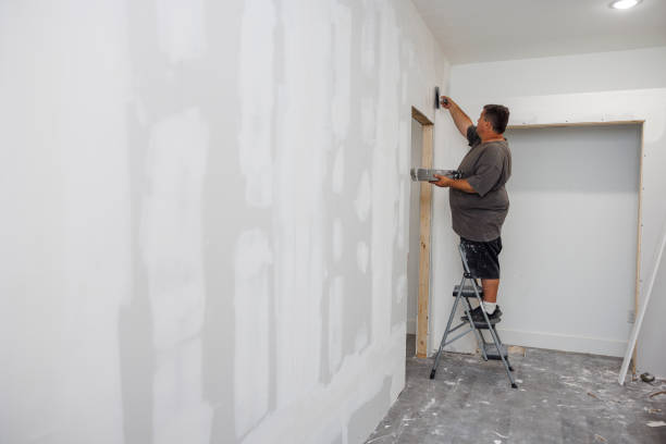 Best Industrial Mold Remediation  in Zanesville, OH