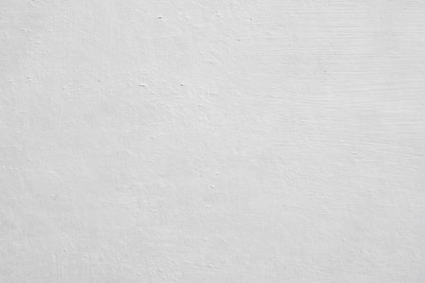 Mold Documentation for Insurance Claims in Zanesville, OH