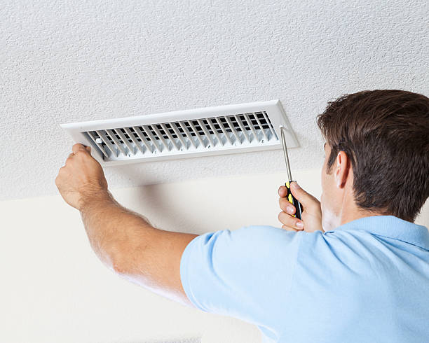 Best Mold Removal for HVAC Installations  in Zanesville, OH