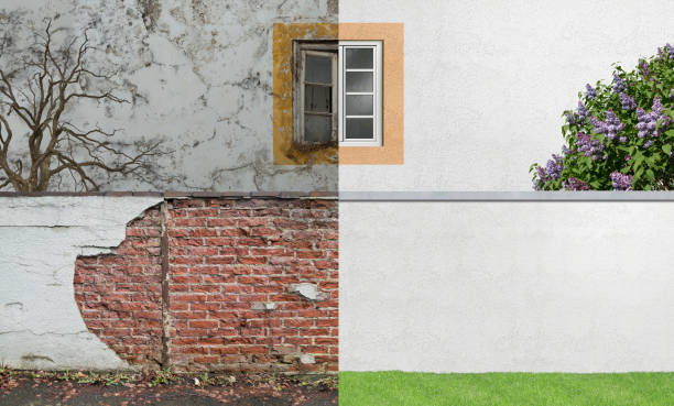 Zanesville, OH Mold Removal Company